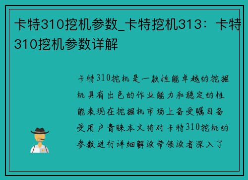 卡特310挖机参数_卡特挖机313：卡特310挖机参数详解