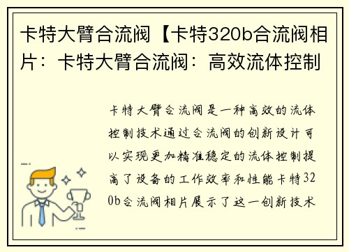 卡特大臂合流阀【卡特320b合流阀相片：卡特大臂合流阀：高效流体控制的创新技术】