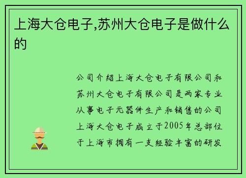 上海大仓电子,苏州大仓电子是做什么的